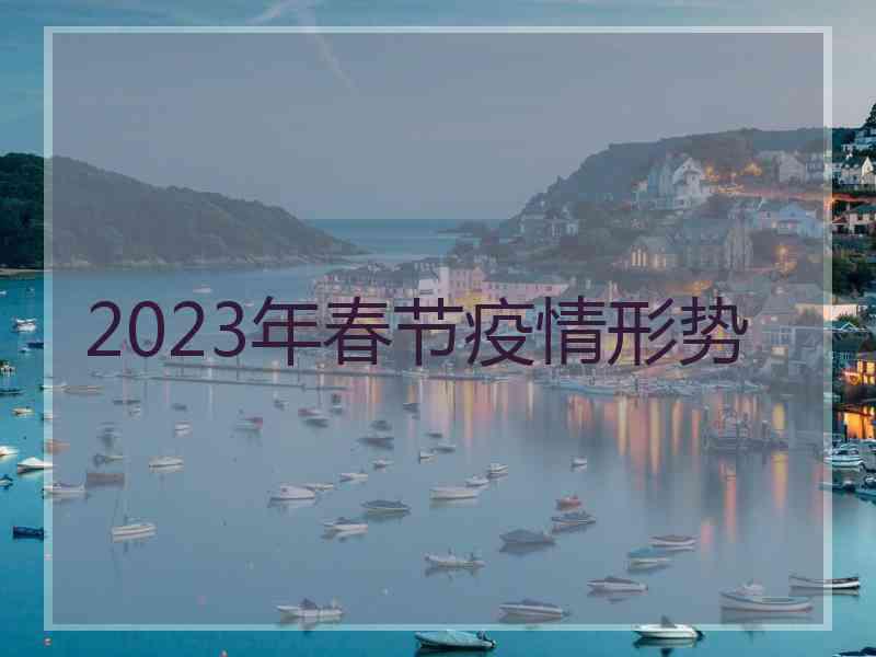 2023年春节疫情形势