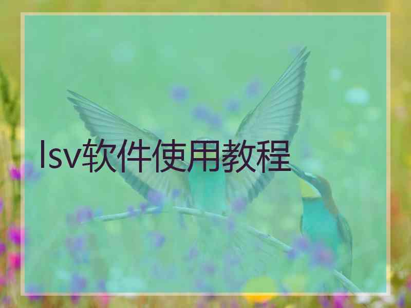 lsv软件使用教程