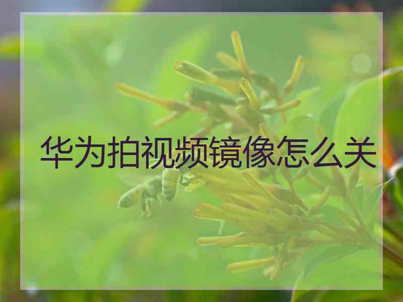 华为拍视频镜像怎么关