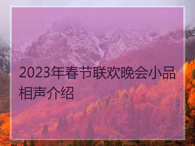 2023年春节联欢晚会小品相声介绍