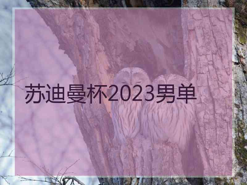 苏迪曼杯2023男单