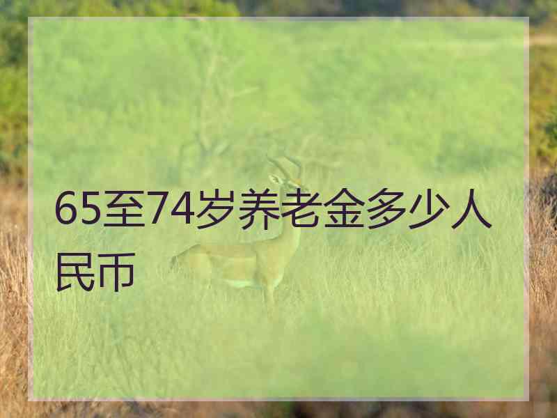 65至74岁养老金多少人民币