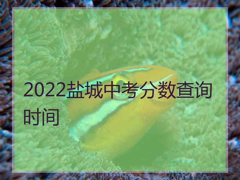 2022盐城中考分数查询时间