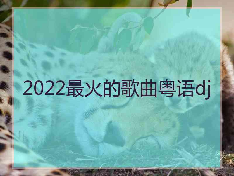 2022最火的歌曲粤语dj