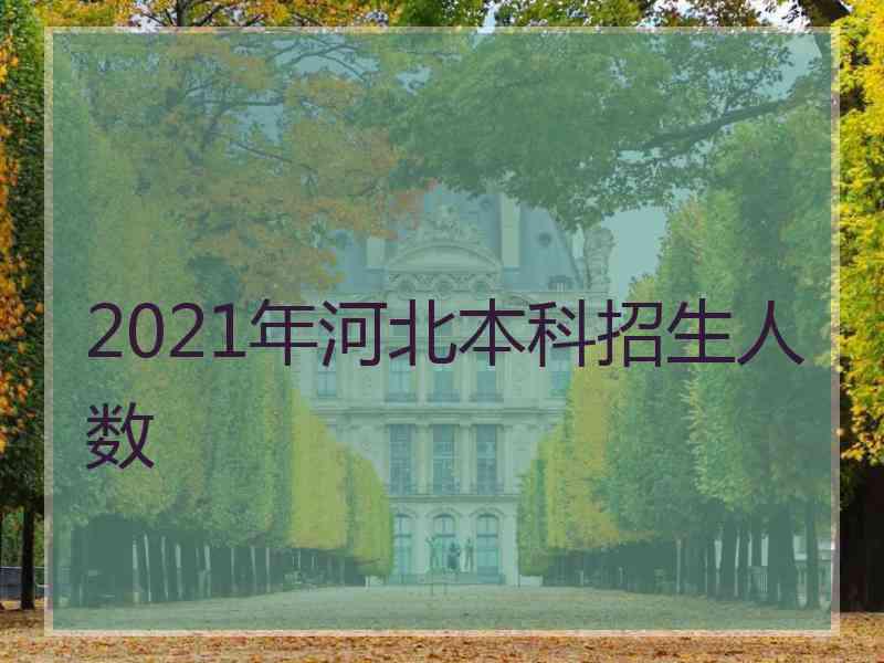 2021年河北本科招生人数