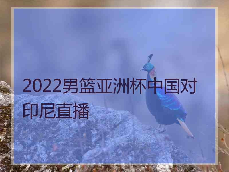 2022男篮亚洲杯中国对印尼直播