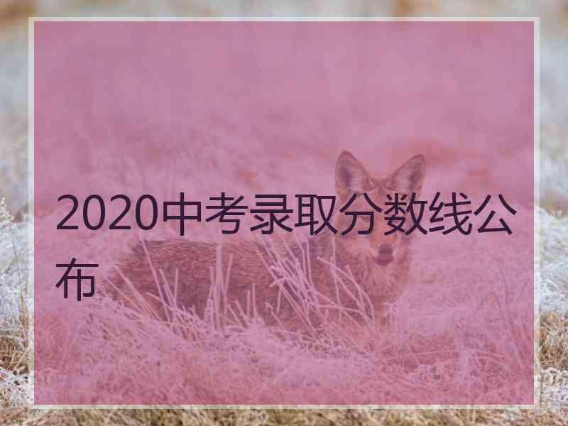 2020中考录取分数线公布