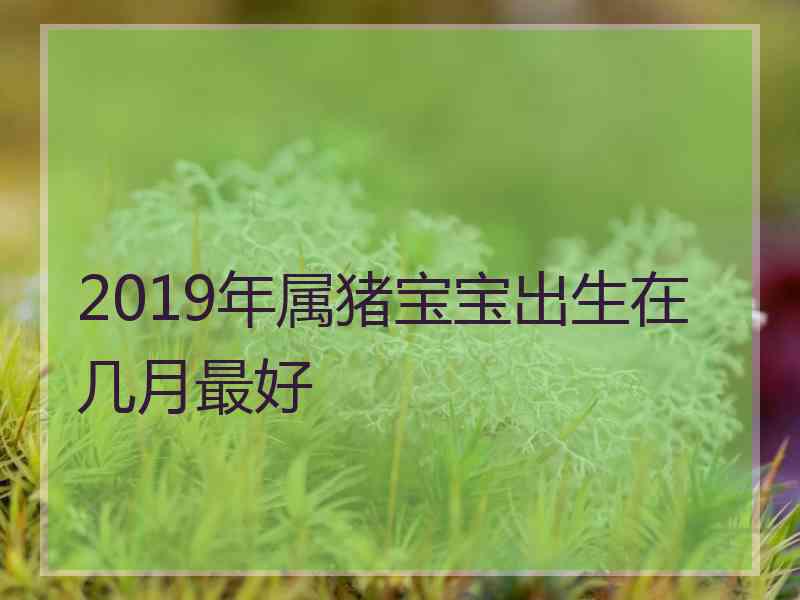 2019年属猪宝宝出生在几月最好