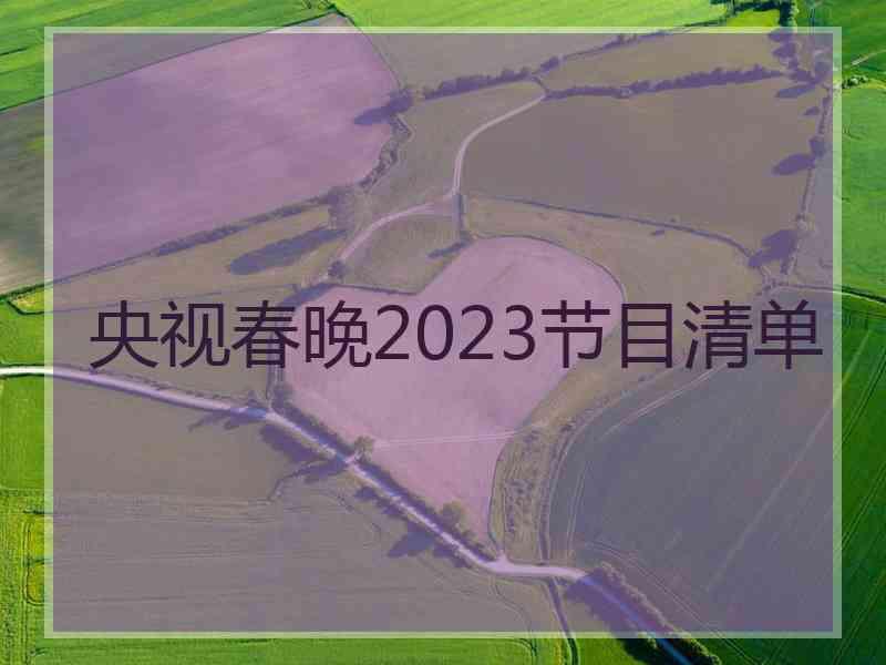 央视春晚2023节目清单