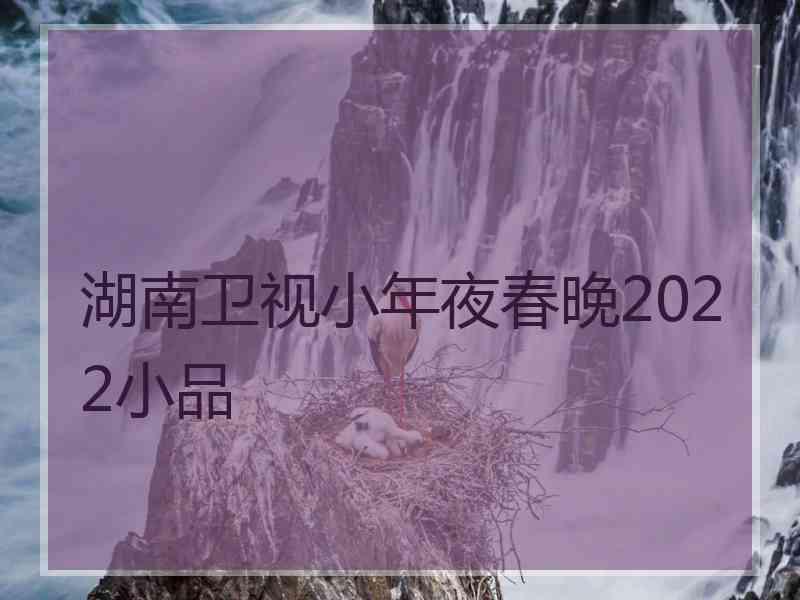 湖南卫视小年夜春晚2022小品