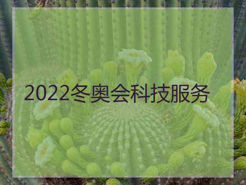 2022冬奥会科技服务