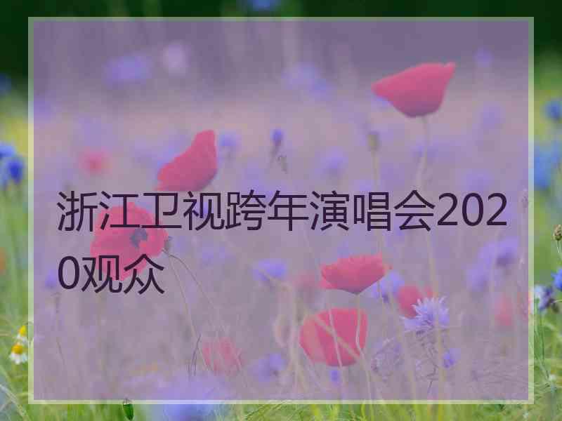 浙江卫视跨年演唱会2020观众