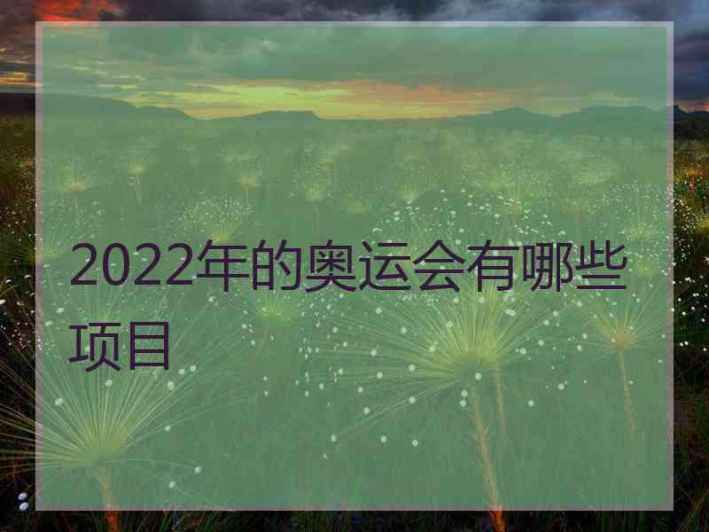 2022年的奥运会有哪些项目