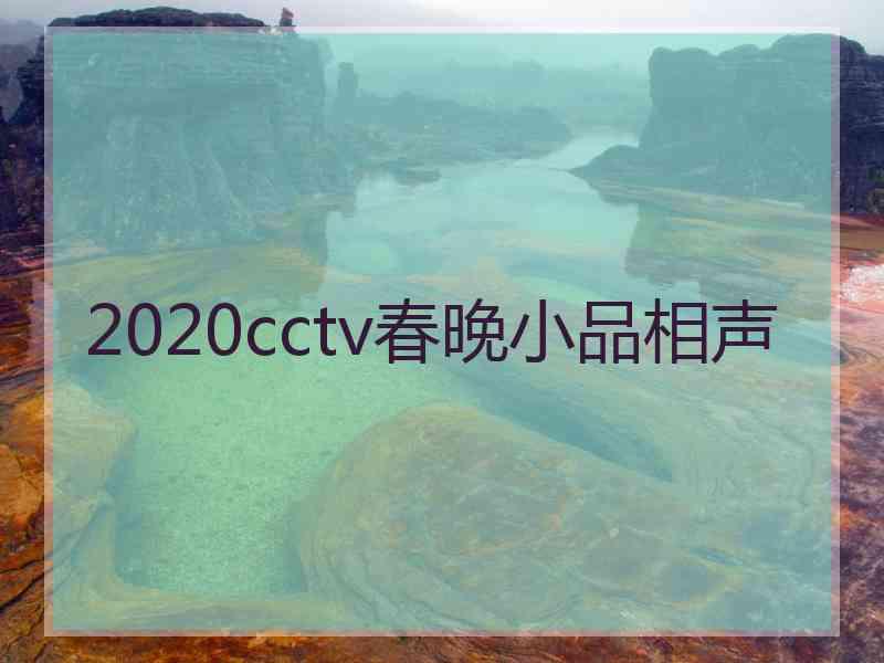 2020cctv春晚小品相声