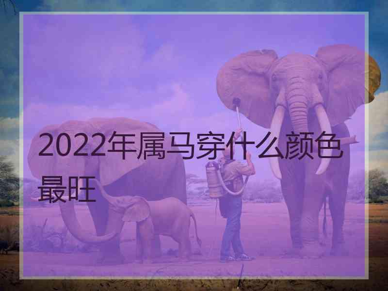 2022年属马穿什么颜色最旺