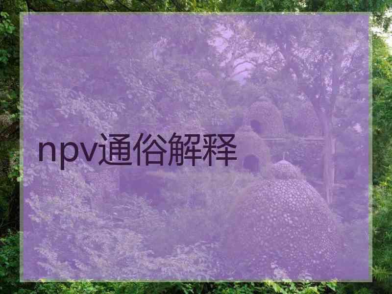 npv通俗解释