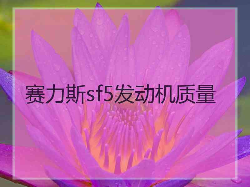 赛力斯sf5发动机质量