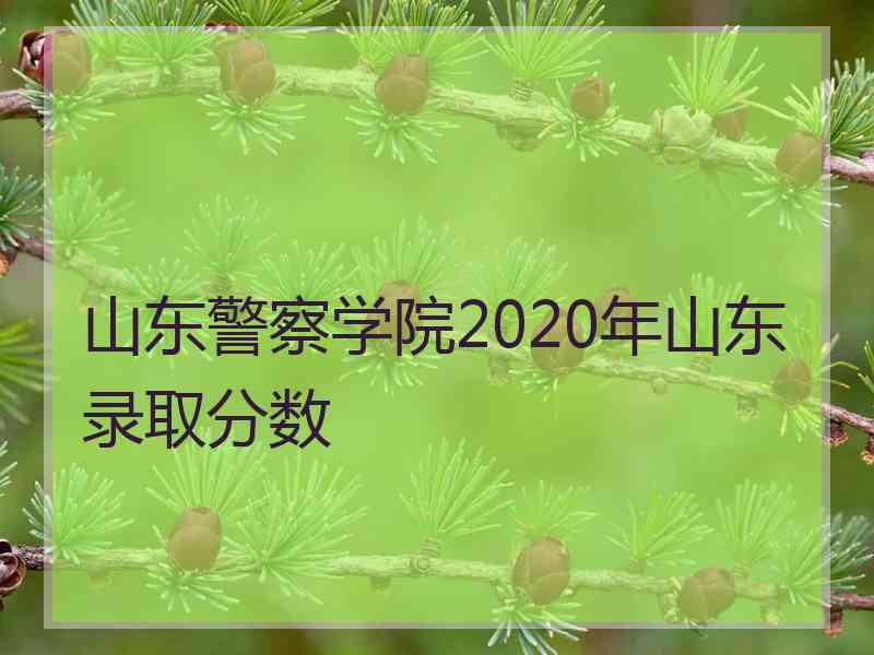 山东警察学院2020年山东录取分数