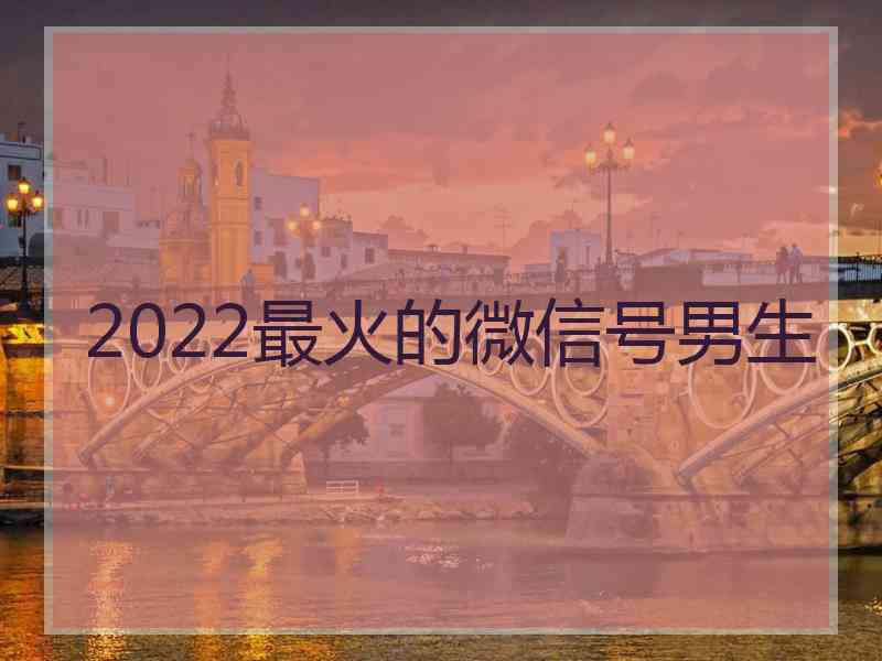 2022最火的微信号男生