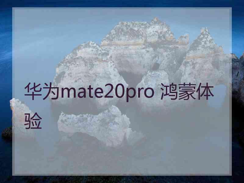 华为mate20pro 鸿蒙体验