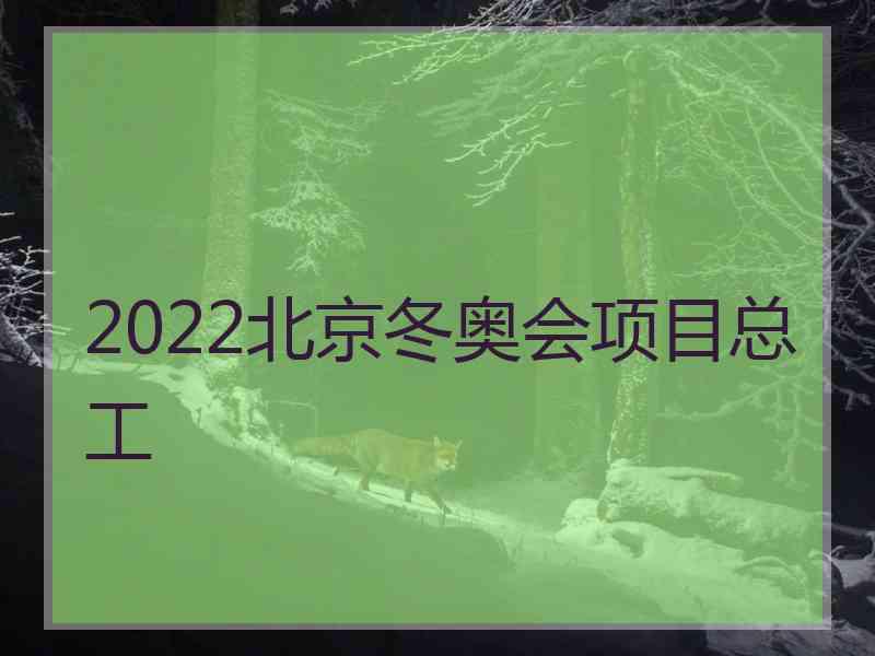 2022北京冬奥会项目总工