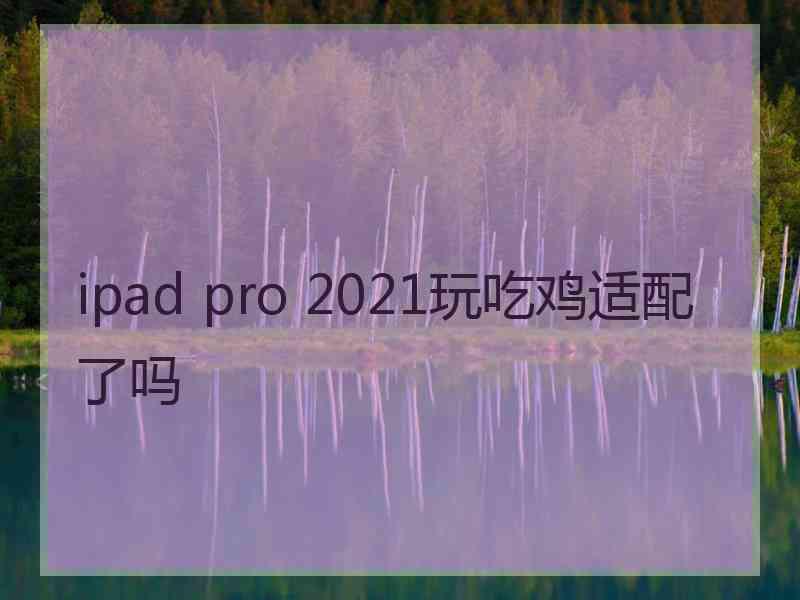 ipad pro 2021玩吃鸡适配了吗