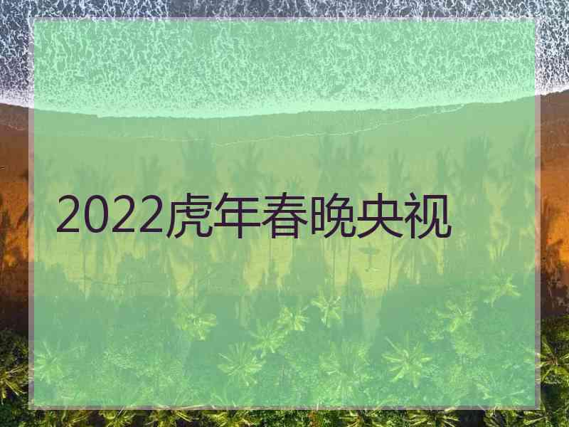 2022虎年春晚央视