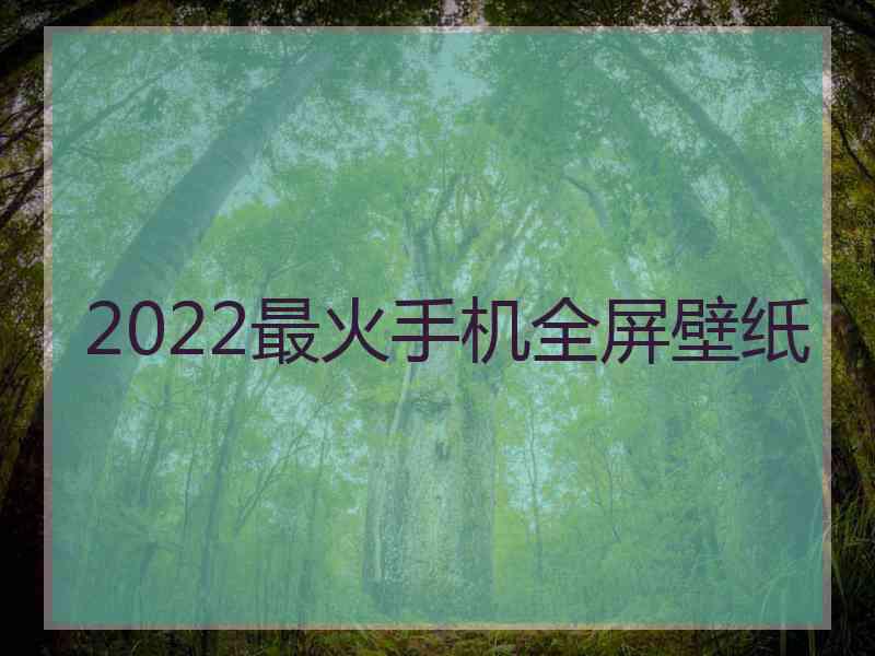 2022最火手机全屏壁纸