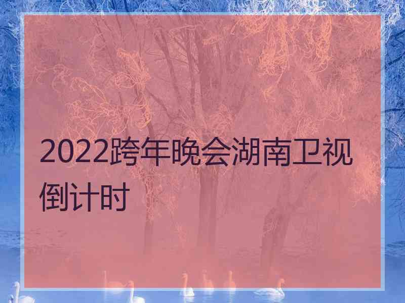 2022跨年晚会湖南卫视倒计时