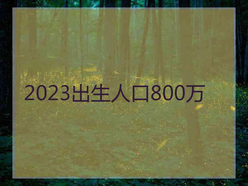 2023出生人口800万