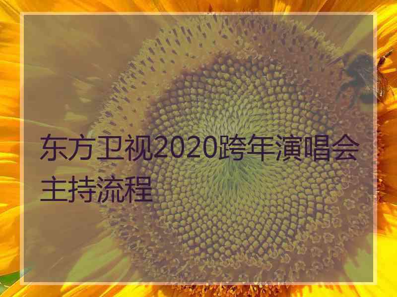 东方卫视2020跨年演唱会主持流程