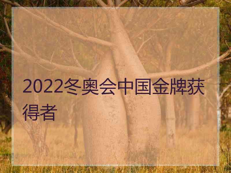 2022冬奥会中国金牌获得者