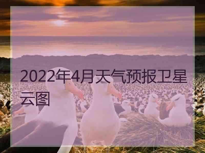 2022年4月天气预报卫星云图