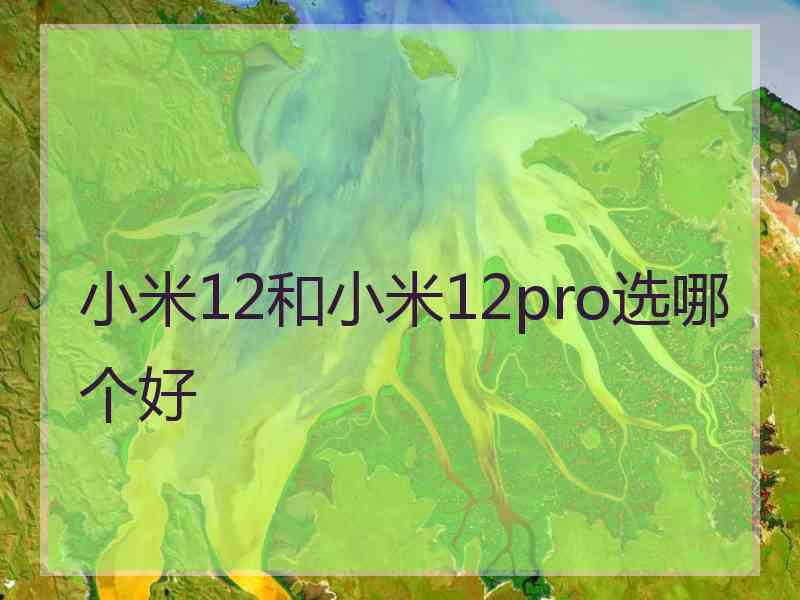 小米12和小米12pro选哪个好