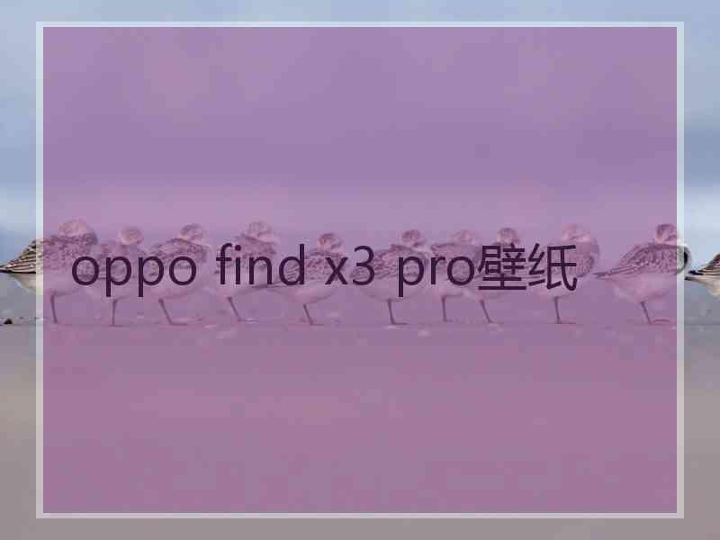 oppo find x3 pro壁纸