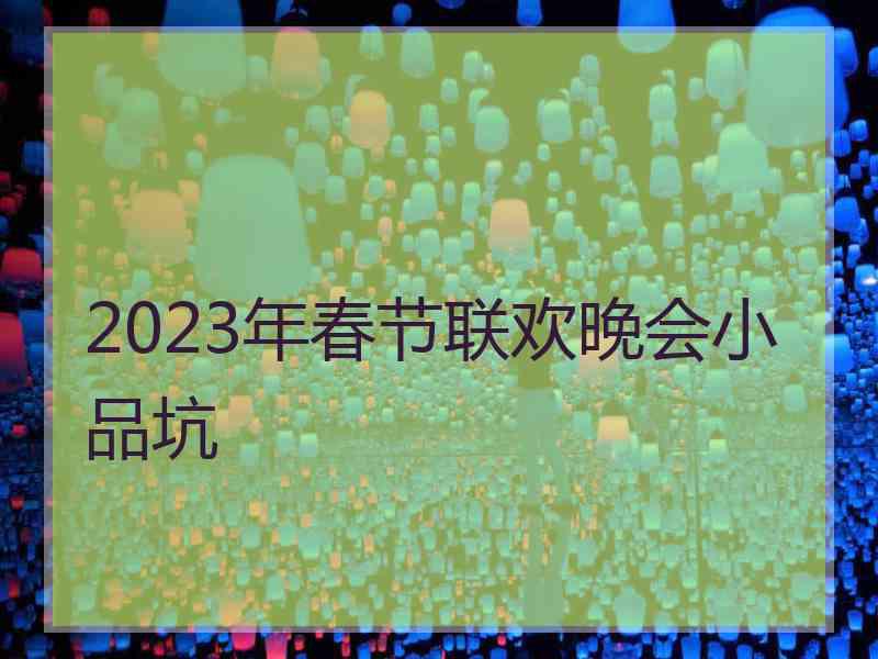 2023年春节联欢晚会小品坑