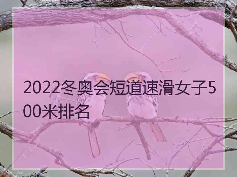 2022冬奥会短道速滑女子500米排名