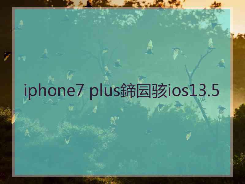 iphone7 plus鍗囩骇ios13.5