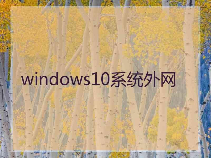 windows10系统外网