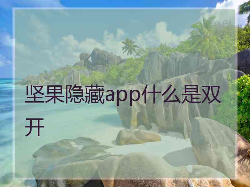 坚果隐藏app什么是双开