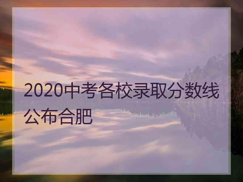 2020中考各校录取分数线公布合肥