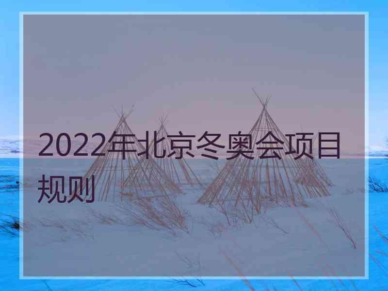 2022年北京冬奥会项目规则