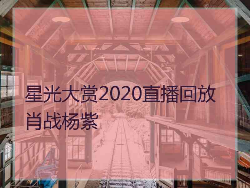 星光大赏2020直播回放肖战杨紫