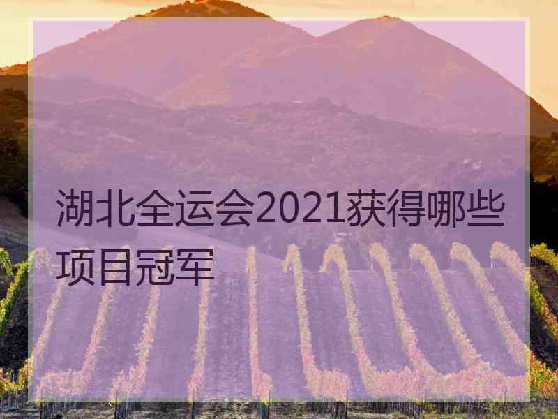 湖北全运会2021获得哪些项目冠军