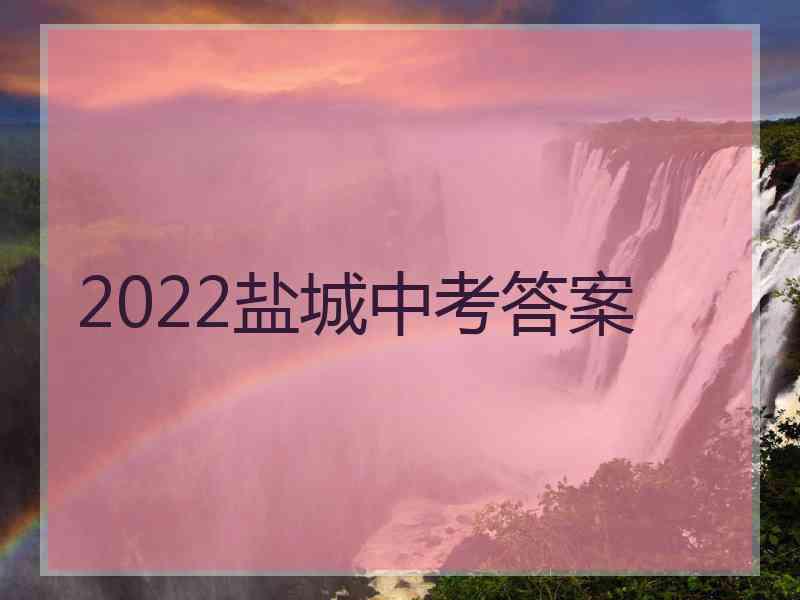 2022盐城中考答案