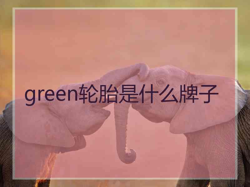 green轮胎是什么牌子