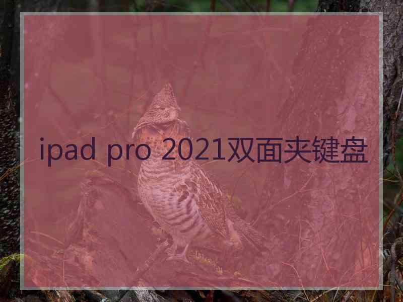 ipad pro 2021双面夹键盘