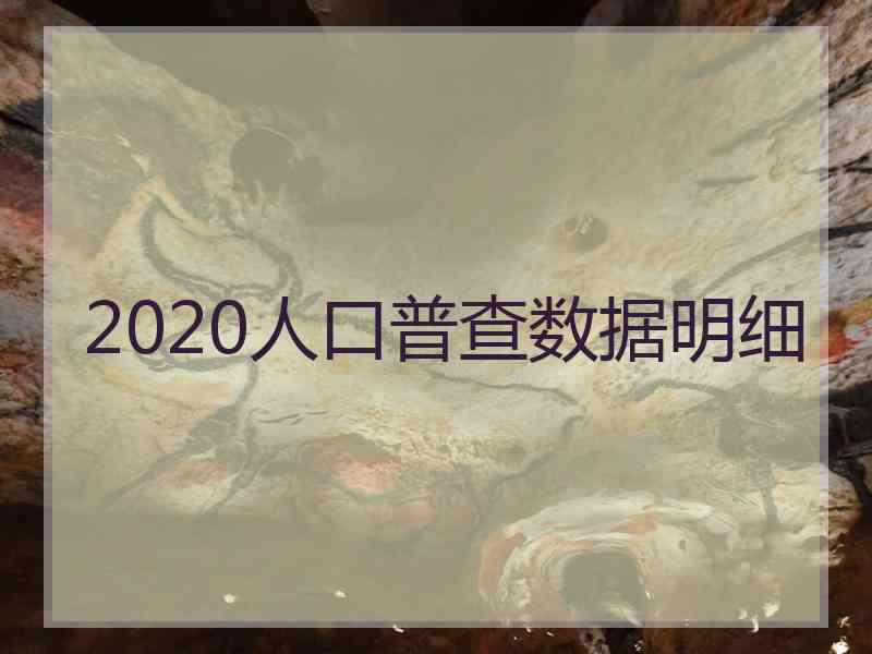 2020人口普查数据明细