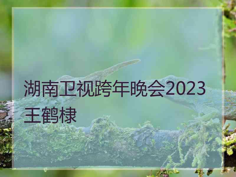 湖南卫视跨年晚会2023王鹤棣