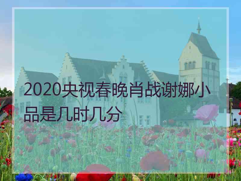 2020央视春晚肖战谢娜小品是几时几分